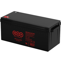 Аккумулятор WBR GPLG12-200